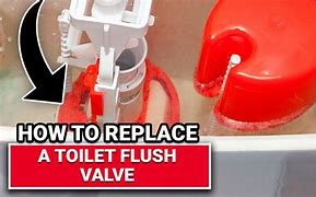 Image result for Two Button Toilet Flush Valve