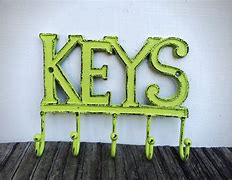 Image result for Neon Green Display Hooks