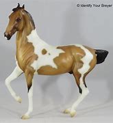 Image result for Marwari Horse Breyer