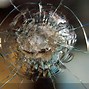 Image result for Punched Cracked Screen Wallpaper