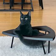 Image result for Cat Lounge Table