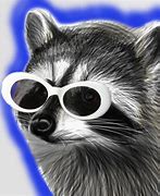 Image result for Raccoon Eggs Memes