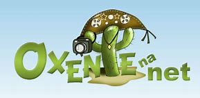 Image result for axeituno