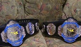 Image result for FCW Tag Team Championship