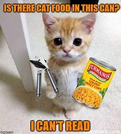 Image result for Cat Meme About Food