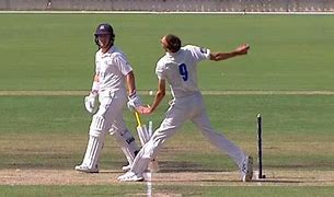 Image result for No Ball Rules in Cricket