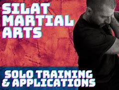 Image result for Silat Martial Arts