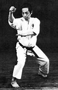 Image result for Japan Karate