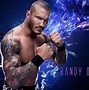Image result for Randy Orton Background