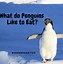 Image result for Funny Penguin Jokes