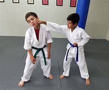 Image result for Taekwondo Karate Duarte CA