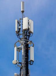 Image result for Cell Tower Disguise