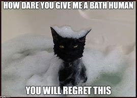 Image result for Cat Meme Bathtub