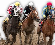 Image result for Horse Racing Transparent Photo Jockeys