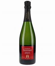 Image result for Geoffroy Champagne Extra Brut