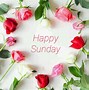 Image result for Happy Sunday Fall Apple's