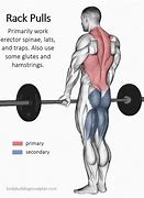 Image result for Rack Pull Exercise
