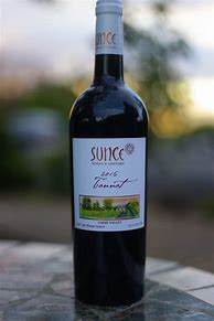 Bildergebnis für Sunce Tannat Old Vines