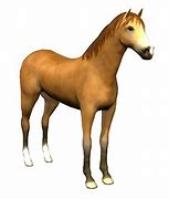 Image result for Animated Horse Jumping