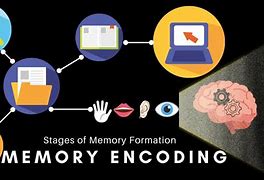 Image result for Encoding Memory Cartoon