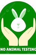 Image result for No Animal Testing Icon.png