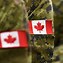 Image result for Special Forces Canada Wallpaper