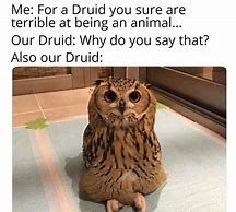 Image result for Dnd Druid Memes