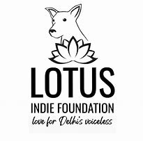 Image result for Lotus 34
