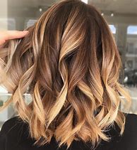 Image result for Honey Blonde Hair with Caramel Highlights
