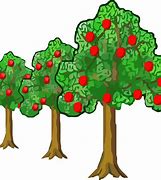 Image result for Macintosh Apple Trees