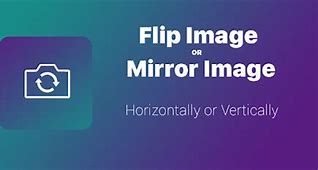 Image result for Mirror Flip Icon