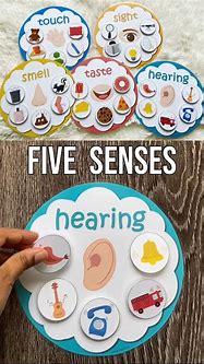 Image result for 5 Senses Activities for Kids