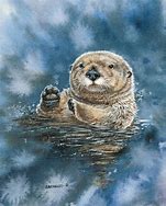 Image result for Sea Otter Art