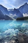 Image result for Cool Forest Wallpaper Android