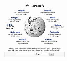 Image result for Wiki 2008