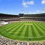 Image result for Australian Field Cricket