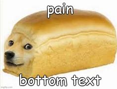 Image result for Bread Doge Dog Memes