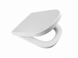 Image result for Roca Toilet Seat