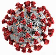 Image result for Covid Virus Images