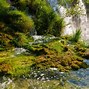 Image result for 16 Lake National Park Croatia
