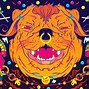 Image result for Psychedelic Cat Wallpaper