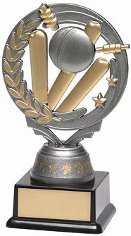 Image result for Cricket Match Trophies