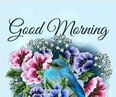 Image result for Good Morning of Today