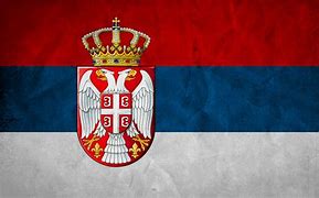 Image result for Serb Flag