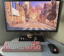 Image result for PC Set Up GIF