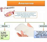 Image result for amenorrea