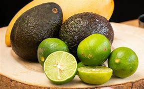 Image result for aguacafe