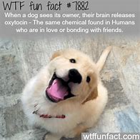 Image result for Anime WTF Facts