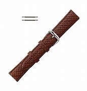 Image result for Tommy Bahama Watch Bands