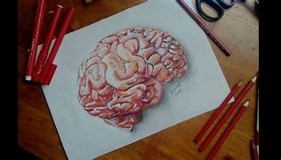 Image result for 3D Brain Sketch